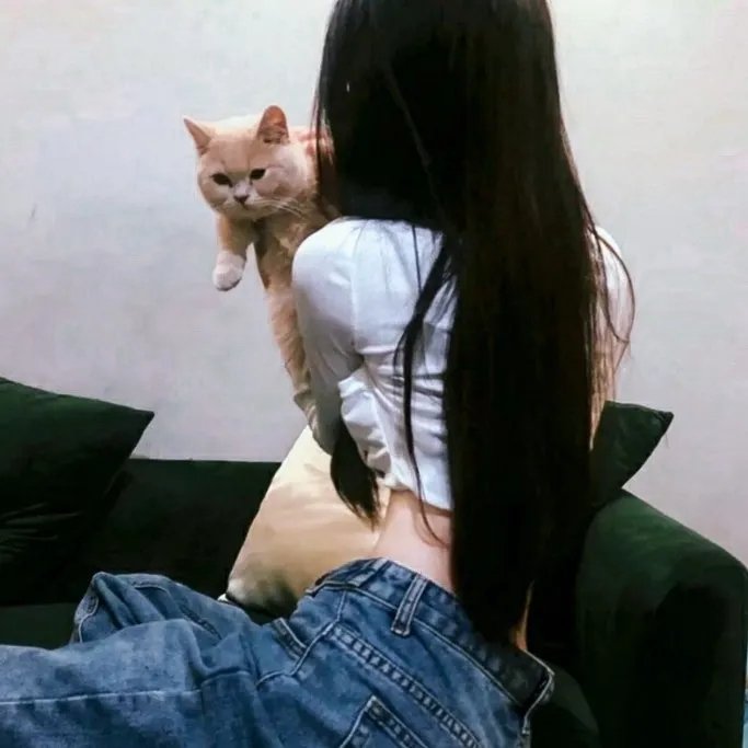 儒侠
